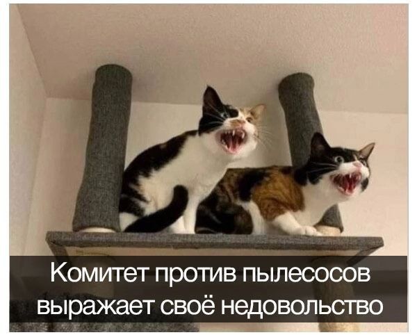 КОМіГГЭТ против ПЫЛЭООООВ ВЫРЗЖЭЭТ СВОЁ НЗДОВОЛЬСТВО