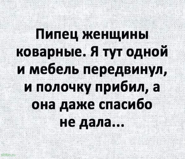 Пипец женщины коварные Я тут одной и мебель передвинул и полочку прибил а она даже спасибо не дала