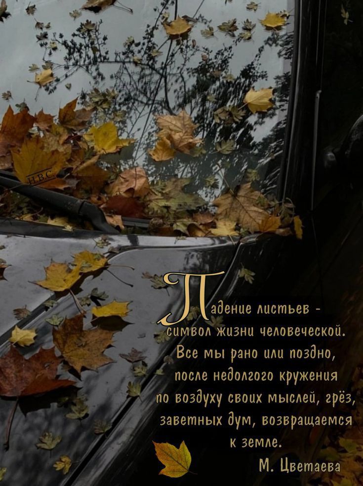 цмвил жизни чсдоввческпй Все мы рано или пазами 1 после педопого кружвния гис виадуку своих мылшп грёз заветных дум возвращаемся _ гамм М Цветаева