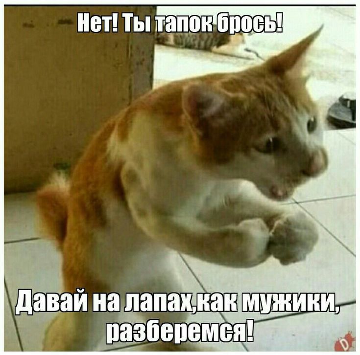 Давай на лапахкакмужики 0 пазберемся