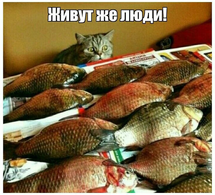 ЖИВУПШР ЛЮДИ
