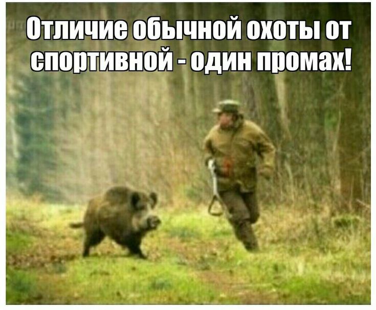 отличие обычной охоты от опоптивной один промах