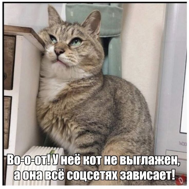 БО 050 аГОНа в