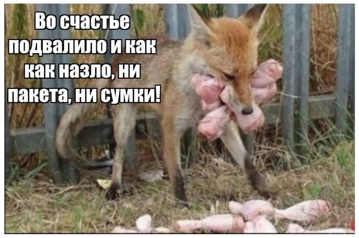 Во сиартье ппдвапипп и как кан иазцр ии пакета ии суМкй