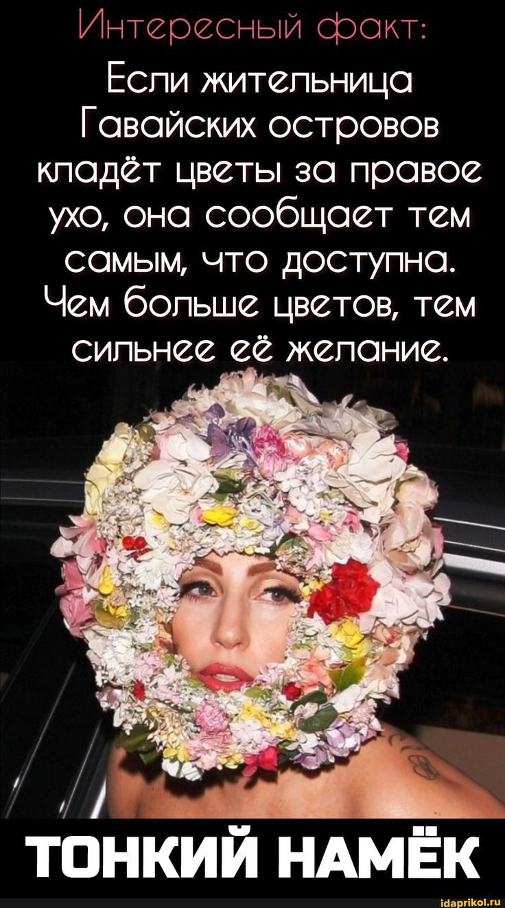 Интересный факт Еспи житепьница Гавайских островов кладет цветы за правое ухо она сообщает тем самым что доступна Чем больше цветов тем сильнее ее желание ТОНКИЙ НАМЁК