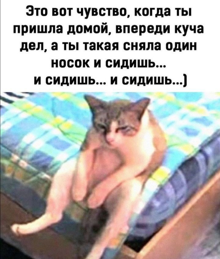Это ВПТ чувство когда ТЫ пришла домой впереди куча дел а ТЫ такая сняла один носок И сидишь