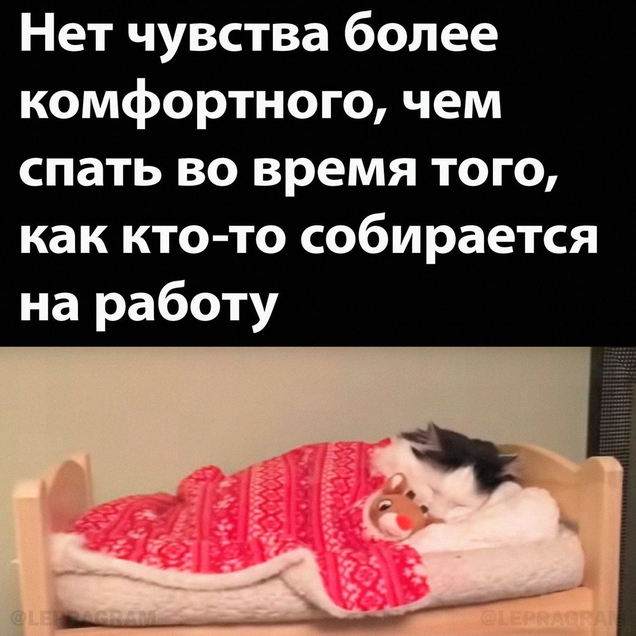 Нет чувства более комфортного чем спать во время того как кто то собирается на работу