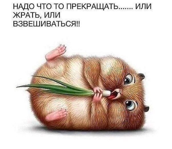 НАДО ЧТО ТО ПРЕКРАЦМТЬ ИЛИ ЖРАТЬ ИЛИ ВЭВЕШИВАТЬСЯН