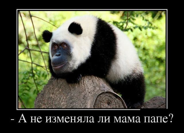 А не ИЗМСНЯЛЗ ЛИ мама папе