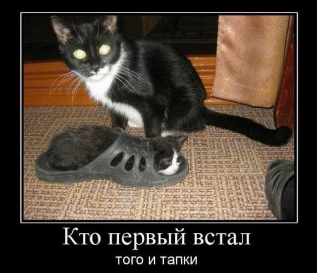 Кто первый встал ТОГО И тапки