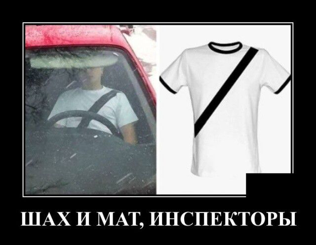 ШАХ И МАТ ИНСПЕКТОРЫ