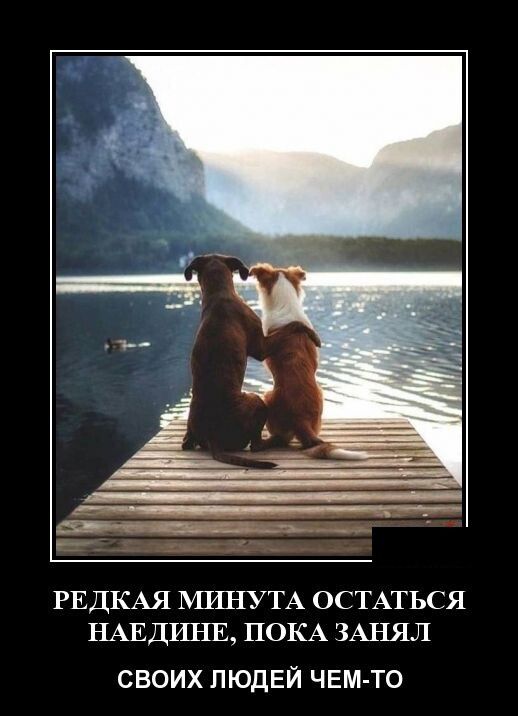 РЕДКАЯ МШіУТА ОСТАТЬСЯ НАЕДИНЕ ПОКА ЗАНЯЛ СВОИХ ЛЮДЕЙ ЧЕМ ТО