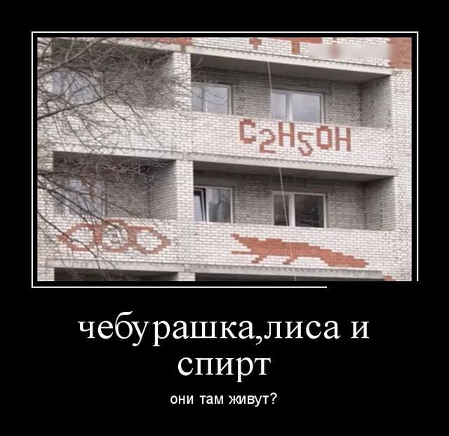 чебурашкалиса и спирт они пм живут