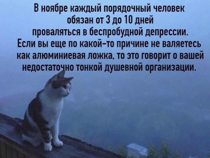 В нпябре каждый порядочный человек обязан пт 3 до 10 дней провалиться в беспробудипй депрессии Если вы еще по какпй ю причине не вапяешъ как алюминиевы ложка то это говорит и вашей иедлстп юмойцупшипйсиищ