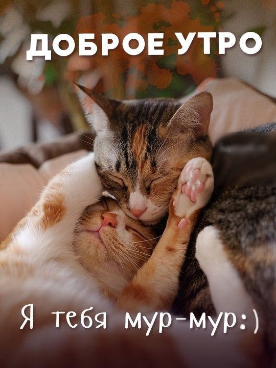 допов утра