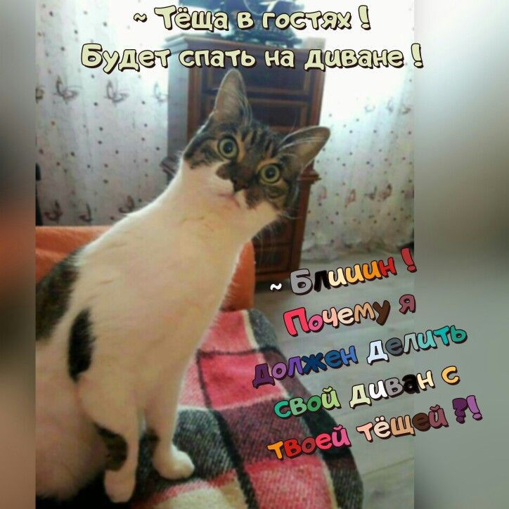в