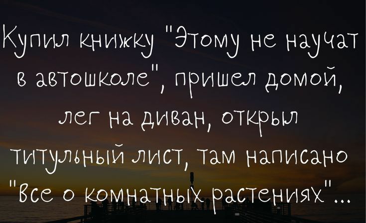 Купил книжку Этому не научи автошколе птэишел домои лег на диван открыл титульныи лист там написано Все о КОМНЗТНЫХ растых ттрзогырасіоізі