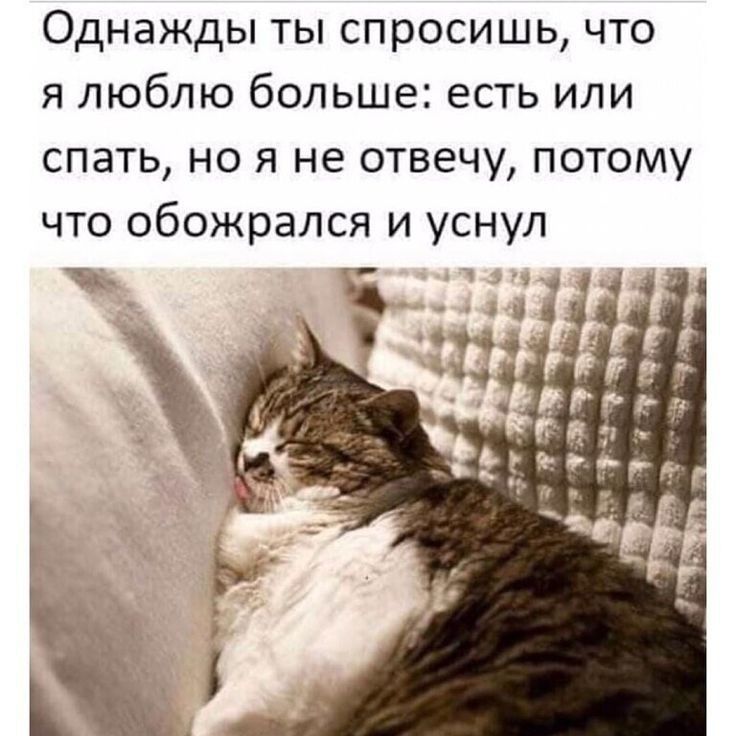 Однажды ты спросишь что я люблю больше есть или спать но я не отвечу потому что обожрался и уснул