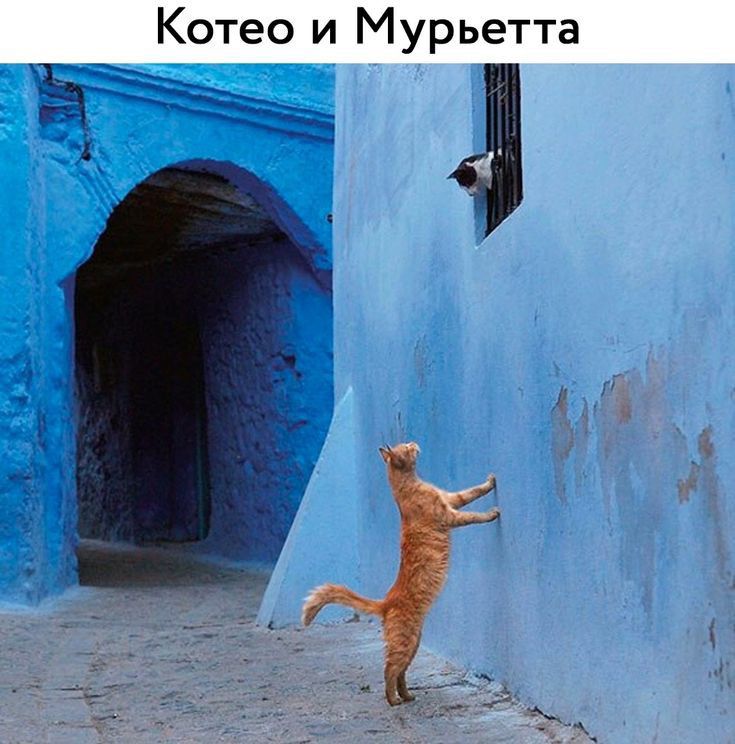 Котео и Мурьетта