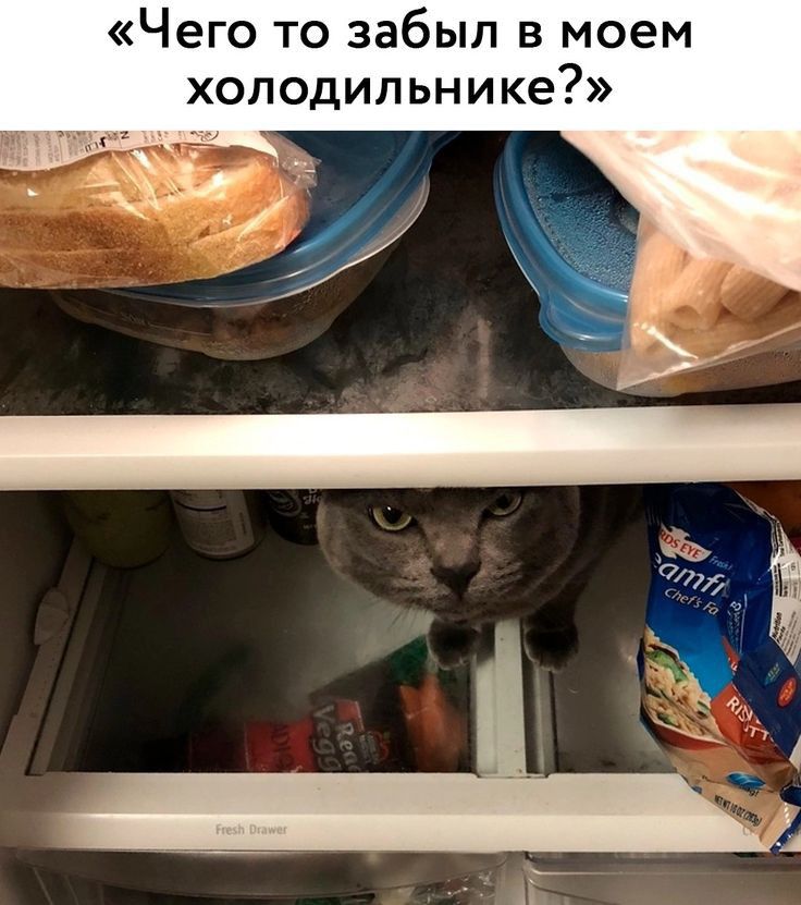 Чего то забыл в моем холодильнике