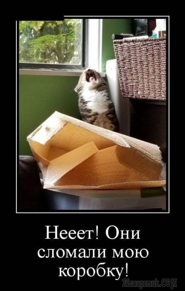 Нееег Они сломали мою коробку