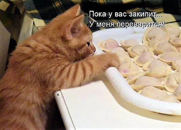 А Пока у вас закири