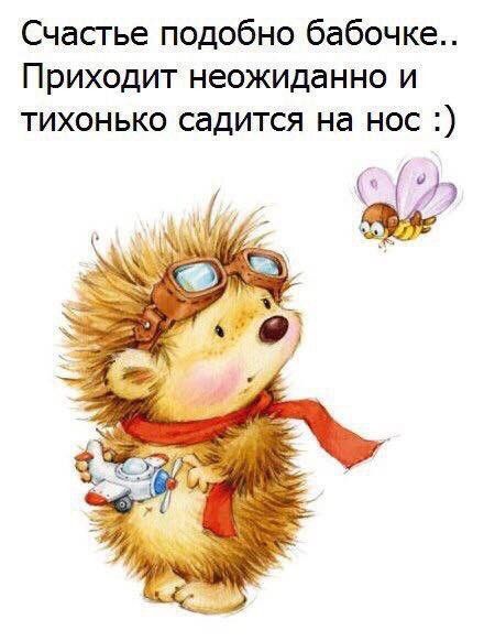 Счастье подобно бабочке Приходит неожиданно и тихонько садится на нос