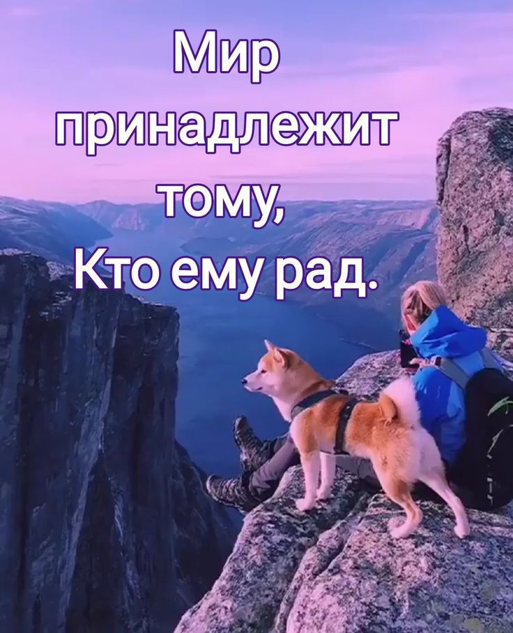 Мир ШП