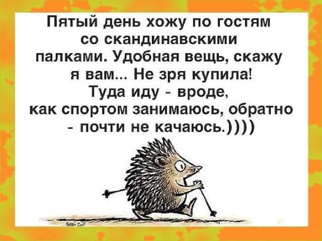 Пятый день хожу по гостям со скандинавскими палками Удобная вещь скажу я вам Не зря купила Туда иду вроде как спортом занимаюсь обратно почти не качаюсь