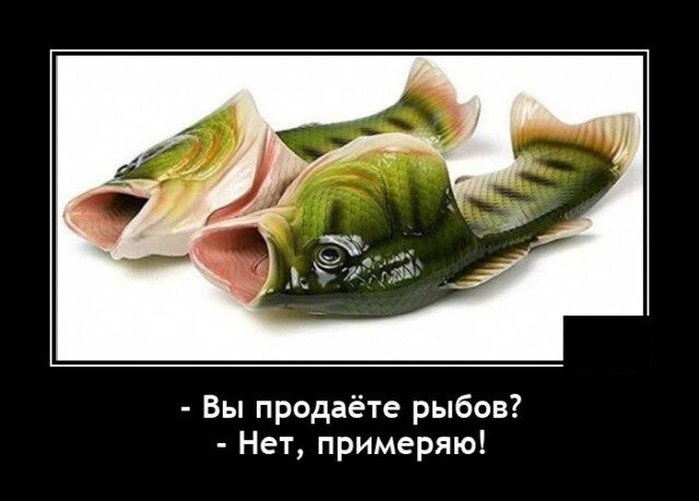 Бы прсдаёте рыбов Нет примеряю