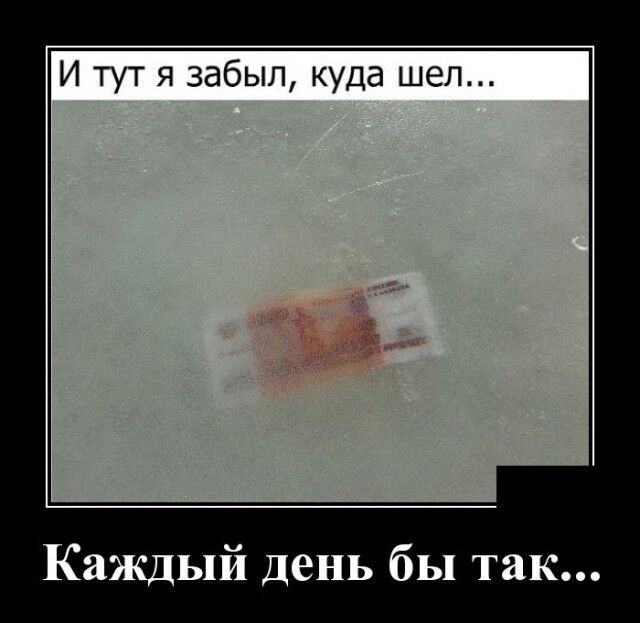 И тут я забыл куда шел Каждый день бы так