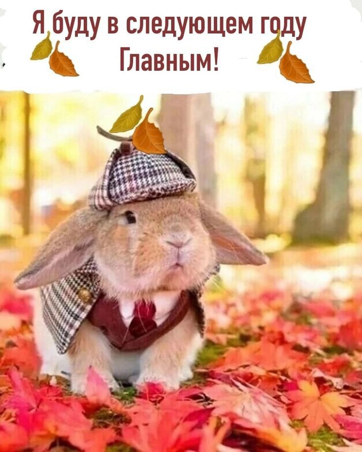 Я буду в следующем г ду А Главным
