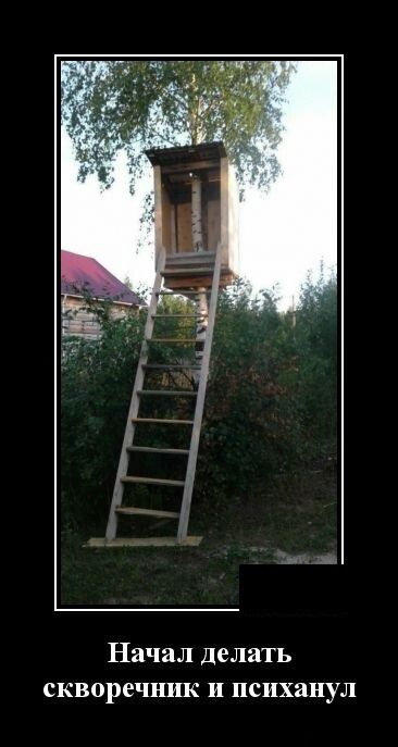 Начал делать скворечник и психанул