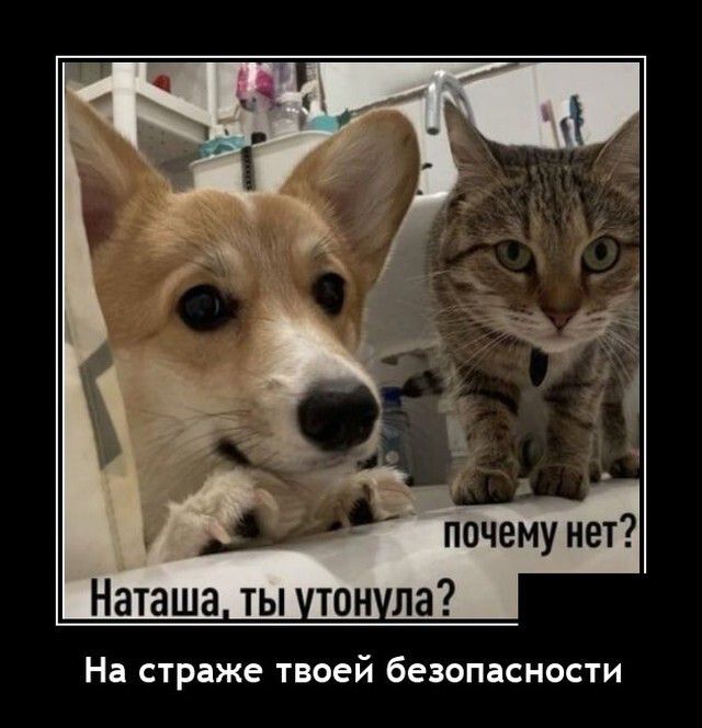 Наташа ты тон ла На страже твоей безопасности