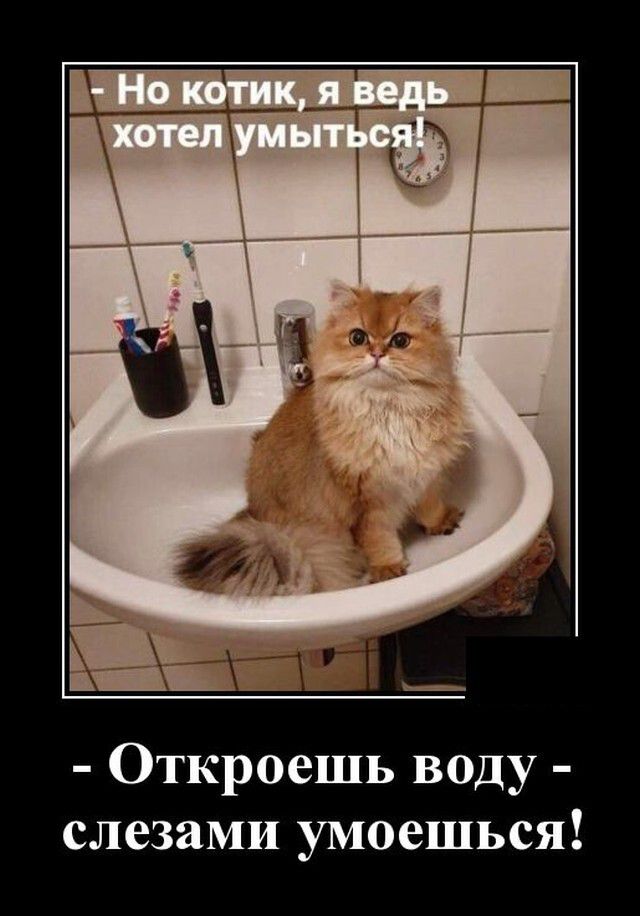 Откроешь воду слезами умоешься