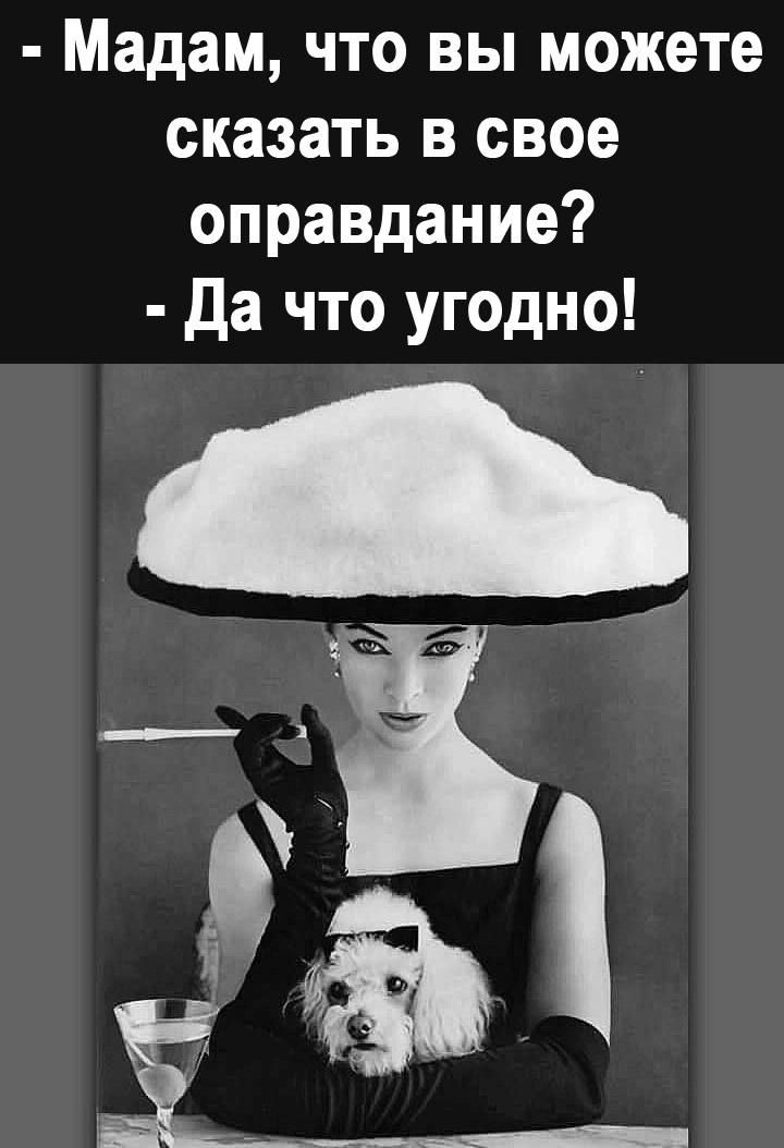 Мадам что вы можете сказать в свое оправдание да что угодно ті