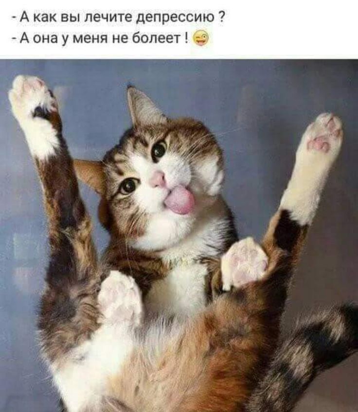 А как вы лечите депрессию А она у меня не болеет