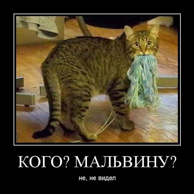 КОГО МАЛЬВШ іУ не не виден