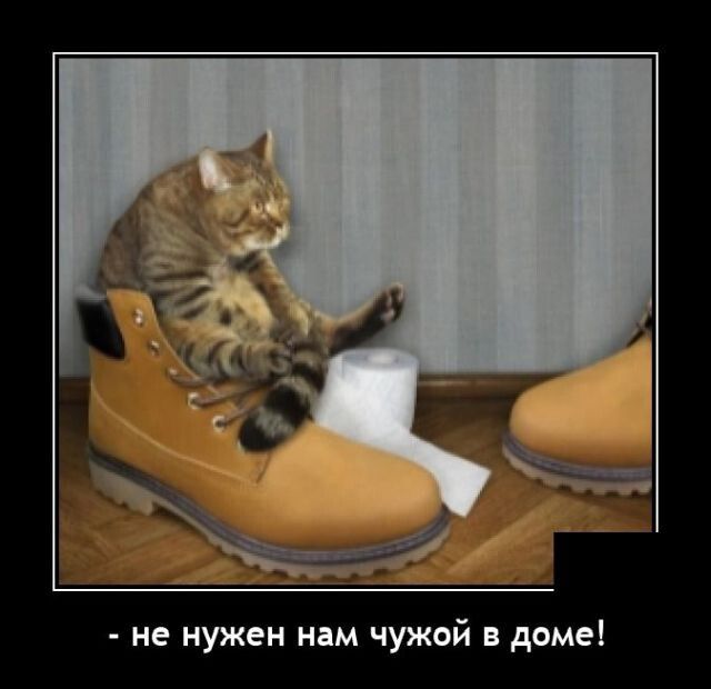 не нркен ннм чужой доме