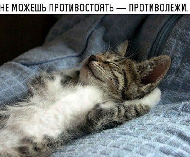 НЕ МОЖЕШЬ ПРОТИВОЕТПНТЬ ПРОТИВПЛЕЖИ