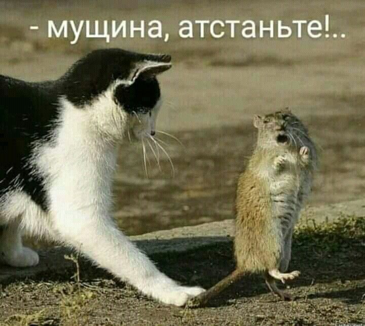 мущина атстаньте