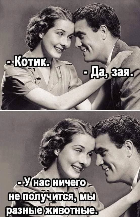 Уфимец ечполучитсщ мы г Ги ЁЁЁзныеіживотные