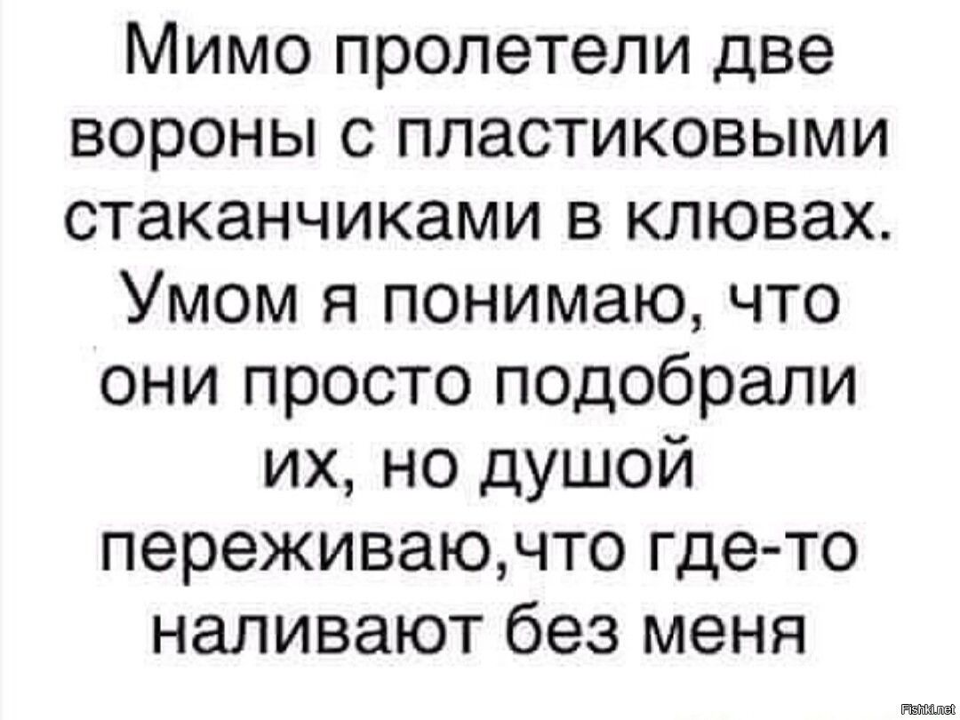 Мимо пролетели две вороны с пластиковыми стаканчиками в клювах Умом я понимаю что они просто подобрали их но душой переживаючто где то наливают без меня