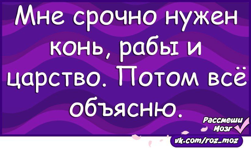 Мне срочно нужен конь робы и царство Потом всё объясню _1