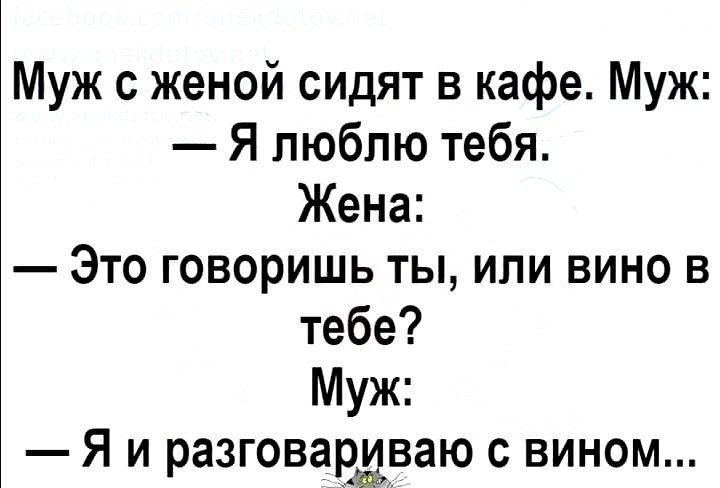 Муж с женой сидят в кафе Муж Я люблю тебя Жена Это говоришь ты или вино в тебе Муж Я и разговардваю с вином