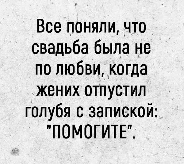 Все поняли что свадьба была не по любви когда жених отпустил голубя с запиской ПОМОГИТЕ