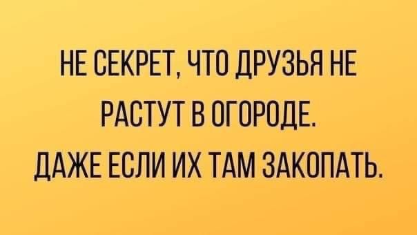 НЕ СЕКРЕТ ЧТО ДРУЗЬЯ НЕ РАБТУТ В ПГОРОДЕ ддЖЕ ЕСЛИ ИХ ТАМ ЗАКОПАТЬ