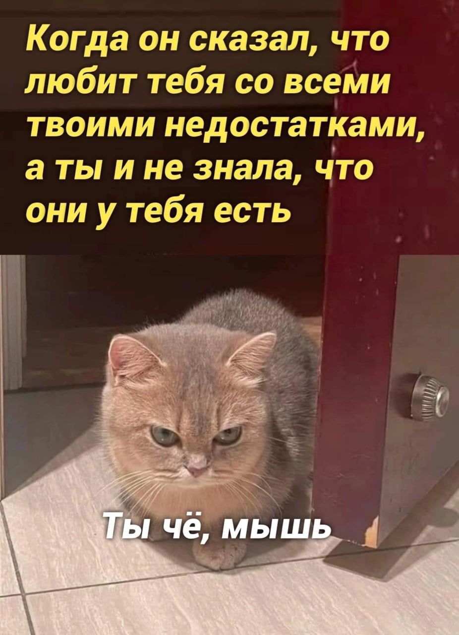 Кал да он сказал что любит тебя со всеми твоими недостатками а ты и не знала чта они у тебя есть