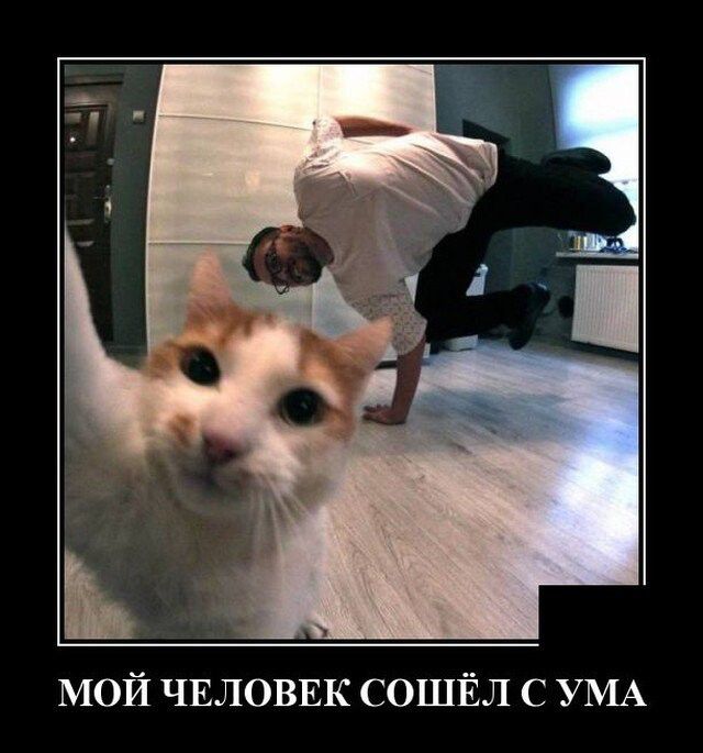 мой ЧЕЛОВЕК СОШЁЛ с УМА