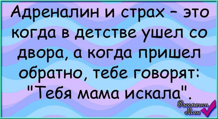 Адреналин и страх это когда в детстве ушел со двора а когда пришел обратно тебе говорят Тебя мама искала